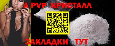 крисы Кулебаки