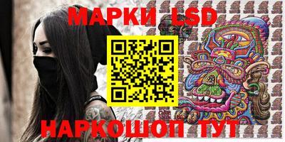 крисы Кулебаки