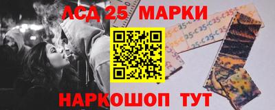 крисы Кулебаки