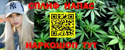 крисы Кулебаки