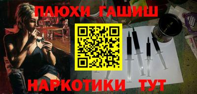 крисы Кулебаки