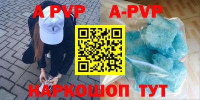 крисы Кулебаки